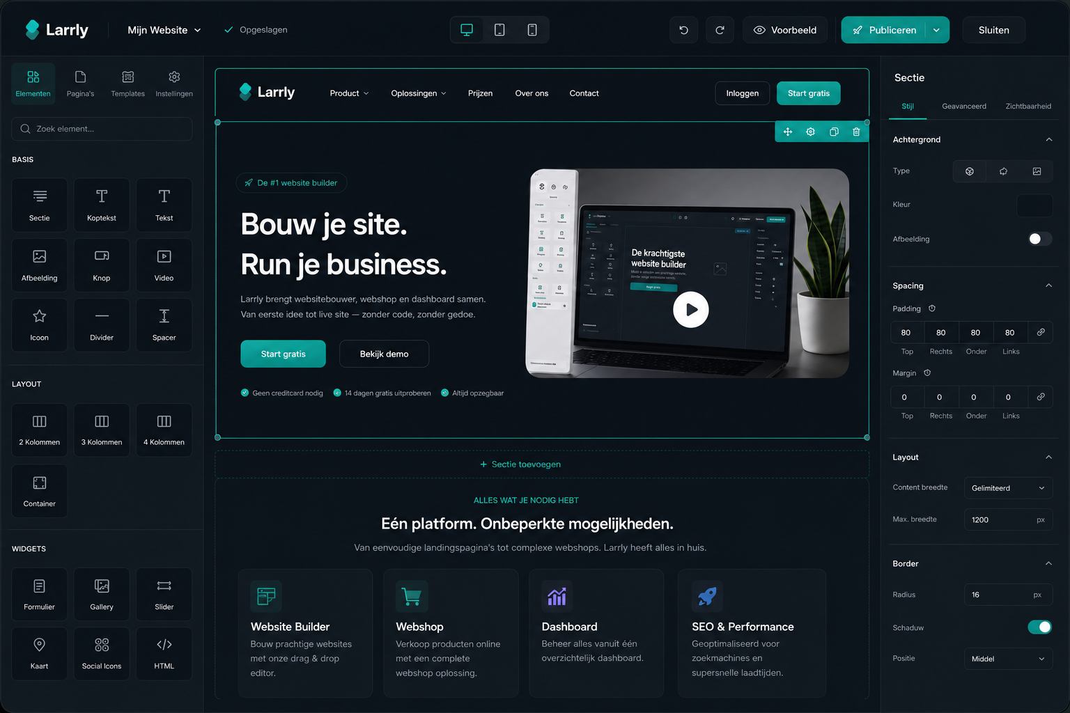 Larrly website builder interface